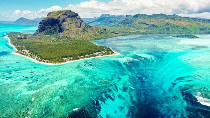 Dunia Hewan: Spesies Punah di Suatu Pulau Tidak Dapat Digantikan - Semua Halaman - National Geographic