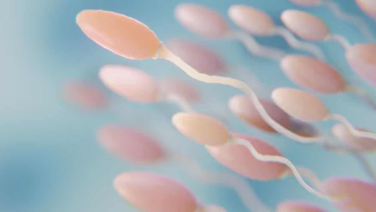 Jinsiy aloqada bolgan gimnastikachilarning yaqindan olingan videosi Rus qizlar uchun shaffof kiyim