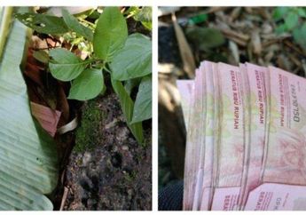 Temukan Duit Segepok yang Tertutup Daun Pisang Dekat Pohon Bambu dan Kuburan China, Pria Ini Malah Tak Ambil: Takut Pindah Isekai