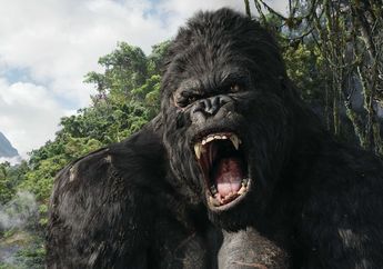 6 Rekomendasi Film Hollywood dengan Latar Lokasi Cerita di Indonesia!
