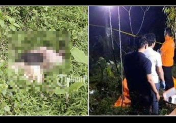 Dikira Boneka, Pemulung Syok Temukan Mayat Wanita di Semak-semak Kebun Duren, Ternyata Dibunuh oleh Sosok Ini