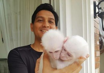 Geram ke Oknum yang Mencaci Maki Kegemarannya Memelihara Satwa Langka, Lucky Hakim: Daripada Buang Waktu, Saya Blok Aja!