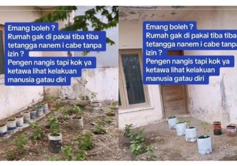 Niat Hati Pulang Kampung, Wanita Ini Syok Halaman Rumahnya Disulap Jadi Kebun Cabai: Kelakuan Manusia Gak Tahu Diri!