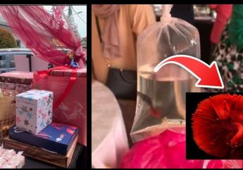 Jadikan Ikan Cupang Sebagai Souvenir Pernikahan ke Tamu Biar Unik, Pengantin Ini Malah Banjir Hujatan, Kok Bisa?