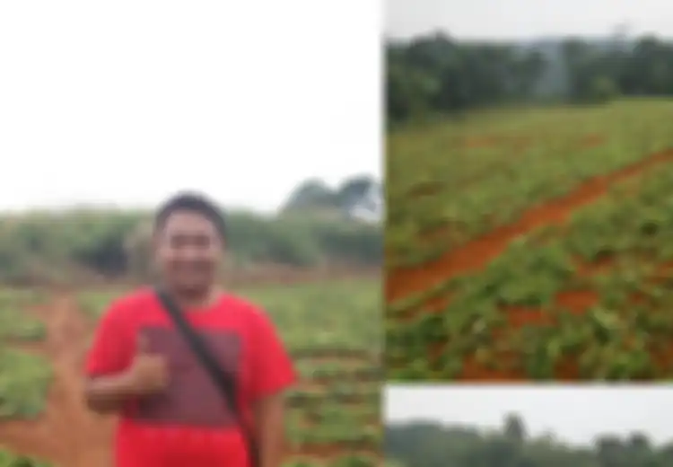 Adi Pramudya, Sarjana Teknik yang Banting Setir Jadi Petani, Kini Kaya Raya