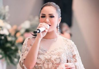 Kecanduan Narkoba Hingga Bikin Suaminya Histeris, Krisdayanti Simpan Masa Lalu Kelam Sebelum Jadi Anggota DPR