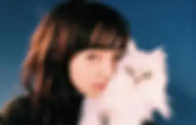 Suka Menonton Video Kucing? Ternyata Ada Manfaat Baik di Balik Kegiatan yang Seakan Membuang Waktu Tersebut