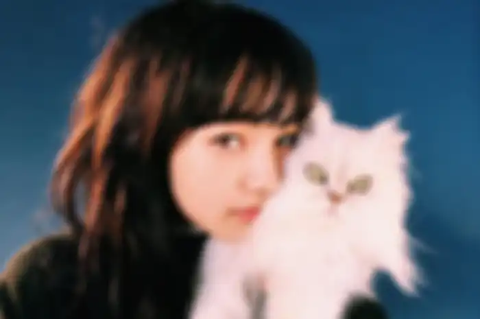 Nana Komatsu dan kucing