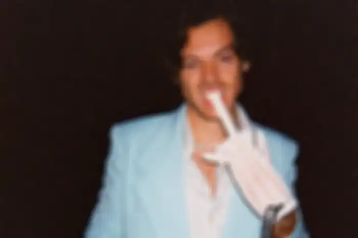 Harry Styles 