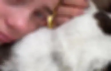 Sedih! Billie Eilish Tangisi Kematian Anjingnya yang Sudah 15 Tahun Bersama