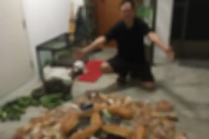 Tumpukan roti yang dikumpulkan Daniel dari beberapa toko roti. 