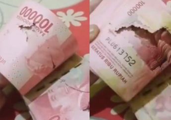 Nyesek, Niat Hati Nabung di Lemari, Pria Ini Syok Saat Segepok Uang Pecahan Rp 100 Ribu-nya Berlubang, Ternyata Ulah Makhluk Ini!