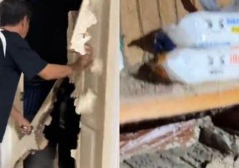 5 Tahun Gak Pulang ke Rumah, Pria Syok Saat Lihat Perabotan Rusak Digerogoti Makhluk Kecil Ini, Pintu Sampai Roboh