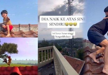Viral, Terinspirasi Usai Nonton Kartun, Bocil Ini Bikin Emak Bapaknya Kalang Kabut Usai Naik ke Genteng Lantai 3:  Dia Mau Ketemu Ayam Jago