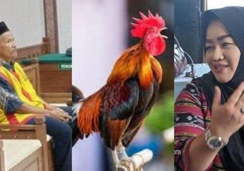 Dulu Viral Gegara Dituduh Curi Ayam Jago yang Jadi Jimat Bu Kades, Kakek 58 Tahun Asal Bojonegoro Kini Divonis Bebas, Auto Berkaca-kaca