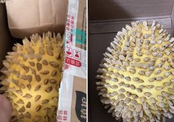 Niat Hati Beli Durian Online Saat Diskon, Wanita Syok yang Dateng Malah Buah Ini yang Dimodif Pakai Duri dari Biji Bunga Matahari