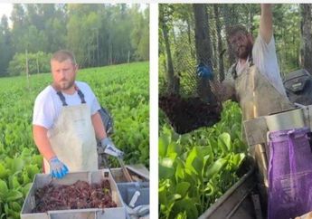 Sering dan Bisa Balesin Komentar Warga Konoha Alias Netizen Indo yang Tanya Pakai Bahasa Daerah, Nelayan Bule Asal Amerika Ini Auto Viral!