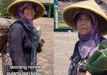 Cosplay Jadi Orang Biasa, Nenek Pencari Daun Kering dan Daun Pisang Ini Ternyata Sultan di Kampungnya, Rumahnya Bikin Syok!
