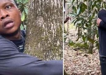 Viral, Pria Ini Pecahkan Rekor Dunia Usai Berhasil Peluk Lebih dari Seribu Pohon dalam Waktu 1 Jam!