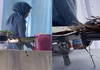 Viral Video, Pernikahan di Bandung Diserbu Lalat Sampai Tamu Tak Berselera Sentuh Menu Prasmanan, Netizen Curiga: Kayak Kiriman, Ada yang Hasad