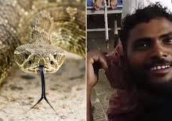 Dendam Perkara Sudah Dipatuk Saat Tidur, Pria Ini Nekat Gigit Balik sang Ular Berbisa, Auto Langsung Viral, Begini Akhirnya