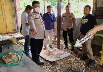 Viral, Pria di Semarang Bikin Geger Usai Ketahuan Sudah Makan Kucing 10 Ekor dalam Setahun, Tetangga: Anak Kos yang Lihat