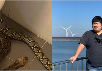 Lagi Asik BAB, Pria Ini Alami Kejadian Malang Usai Alat Kelaminanya Digigit Ular yang Keluar dari Closet WC, Begini Akhirnya