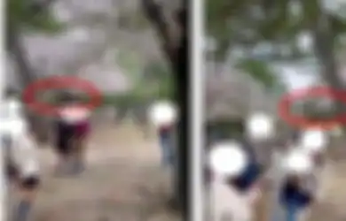 Sengaja Gugurkan Bunga Sakura, Kelakukan Turis Asal Indonesia Ini Viral, Netizen Geram: Bikin Malu