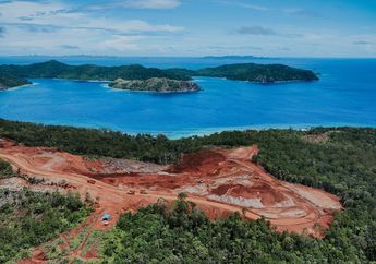 Di Balik Tagar Save Raja Ampat dan Ekspansi Nikel yang Kian Gawat