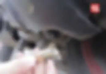 Jangan Dicuekin.. Slang Transparan di CVT Matic Harus Dibeginikan Setiap Bulan