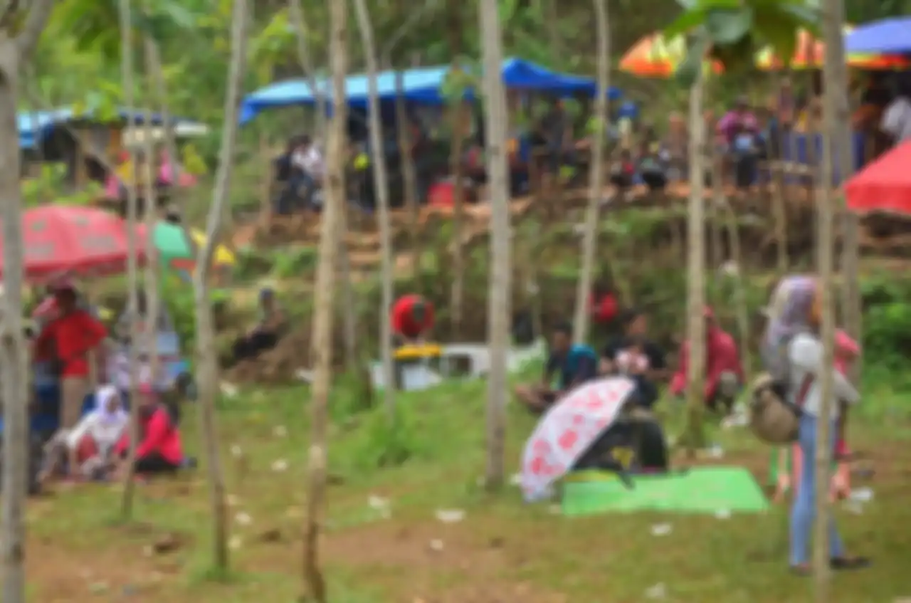 Penonton grasstrack piknik