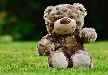 Buang Boneka Usang Saat Bersih-bersih, Wanita Ini Bikin Mertua Syok hingga Jatuh Pingsan, Isinya Ternyata Ada Harta Karun?