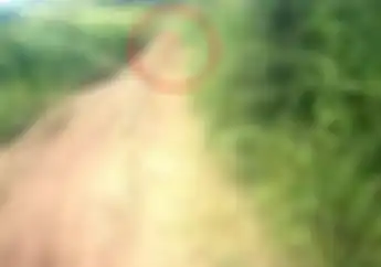Mistis! Video Penampakan Mahluk Kerdil Saat Trabas di Tengah Hutan Pedalaman Aceh
