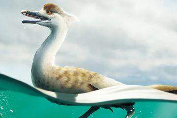 Dinosaurus Mirip Bebek Jadi Bukti Keragaman di Kelompok Hewan Purba