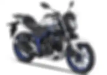 Yamaha R25 Generasi Terbaru Bakal Dilaunching, Bagaimana Nasib MT25?