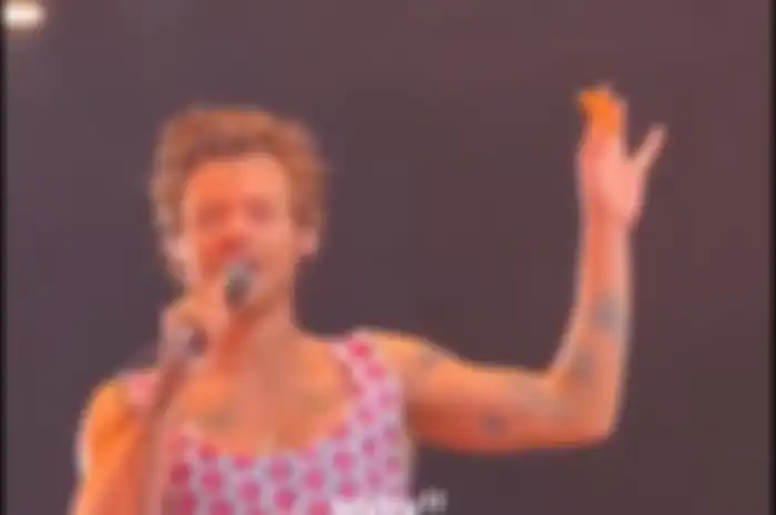 Harry Styles dilemparin chicken nugget pas lagi manggung!