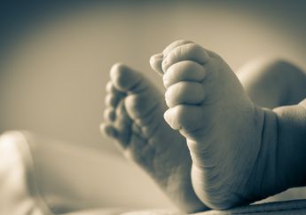 Sedang Menyusu Ibunya, Bayi India Direnggut lalu Dibunuh Monyet yang Menyusup ke Rumah