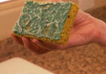 Satu Indonesia Nyesel Baru Tahu Sekarang, Spons Cuci Piring Ternyata Wajib Diganti Seminggu Sekali, Risikonya Fatal Buat Keluarga!