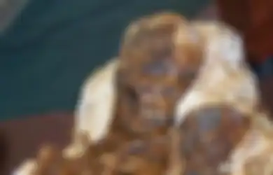 Misteri Temuan Mengharukan, 4.800 Tahun di Keabadian Ibu Ini Menatap Bayi di Buaiannya: Semua Arkeolog dan Staf Terkejut