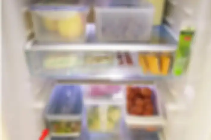 Ibu-ibu Jangan Lagi Pakai Pisau untuk Menyongkel Bunga Es, Begini Langkah Terbaik Agar Freezer Lebih Tahan Lama