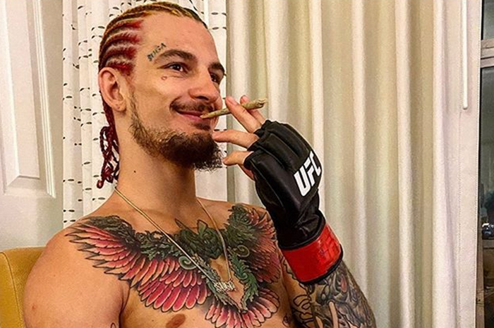 Petarung UFC, Sean O'Malley saat menghisap lintingan ganja