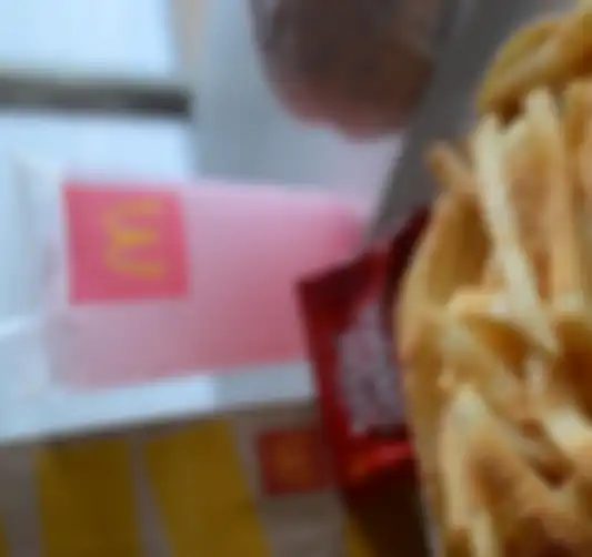 Gulai Gurih McShaker Fries