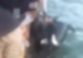Heboh Video Yamaha NMAX Tercebur ke Laut, Ini yang Harus Dilakukan Usai Motor Terendam Air