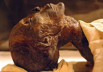 Firaun Tutankhamun Lahir dari Perkawinan Incest, Putra Firaun 'Sesat' Ini Sudah Memerintah pada Usia 19 Tahun, Penelitian Ungkap Kecacatan yang Dideritanya