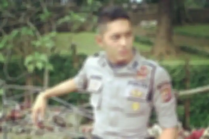 Gariz Luis 