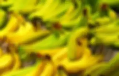 Mencegah Batu Ginjal, 1 dari 8 Manfaat Pisang yang Wajib Anda Tahu