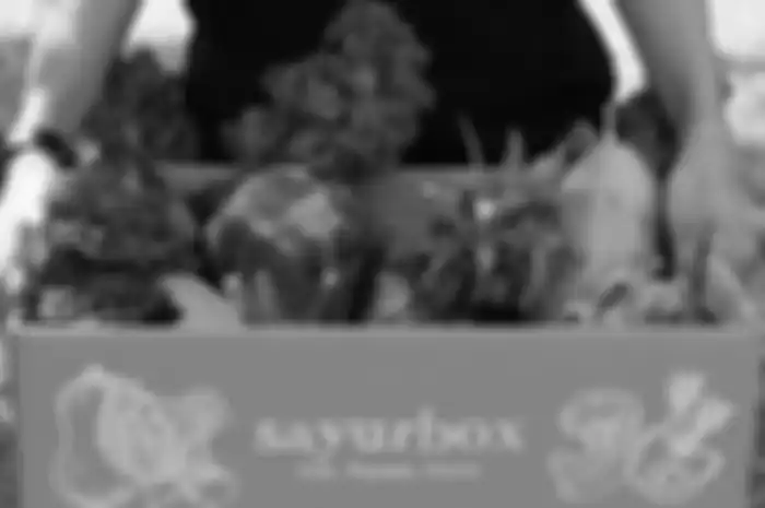 Belanja dengan sistem COD di Sayurbox.