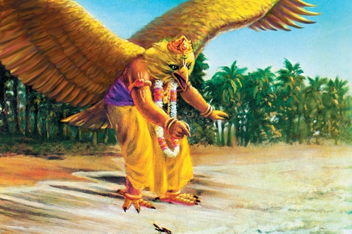 Burung Garuda