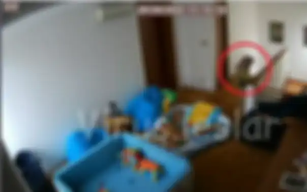 Fansbase Leslar bocorkan rekaman CCTV dari rumah Rizky Billar 