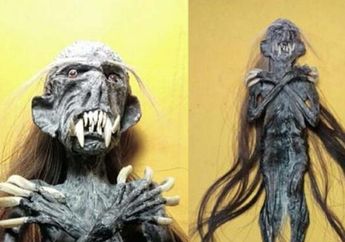 Haus Darah Satu Tetes Setiap Hari dan Dapat Layani Tuannya dalam Berbagai Cara, Bagaimana Asal-usul Makhluk 'Mistis' Jenglot Ini? Asalnya dari Tubuh yang Tak Diterima Bumi?